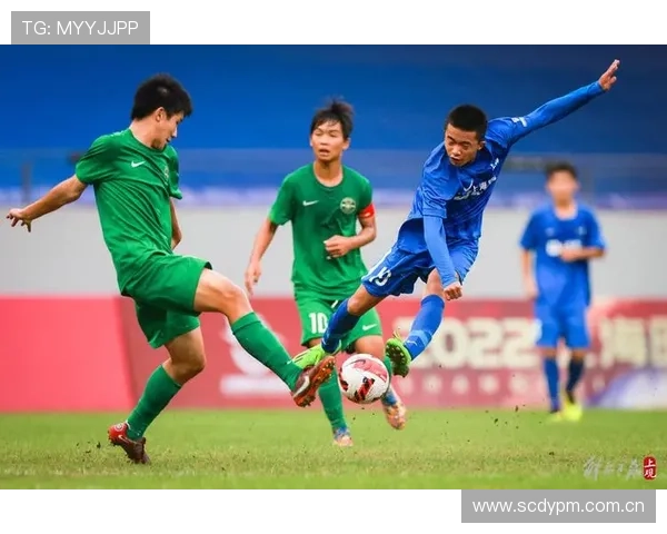 三升体育在青少年体育赛事组织中的角色与影响力分析